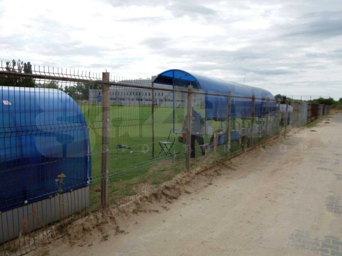 GALERIE FOTO CSA Steaua a făcut azi primul antrenament de la revenire! În Ghencea se lucrează la foc automat 