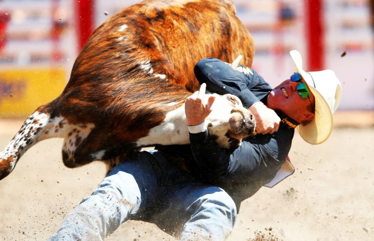 Fotografia zilei - cele mai interesante imagini ale lunii iulie 2017 în sport