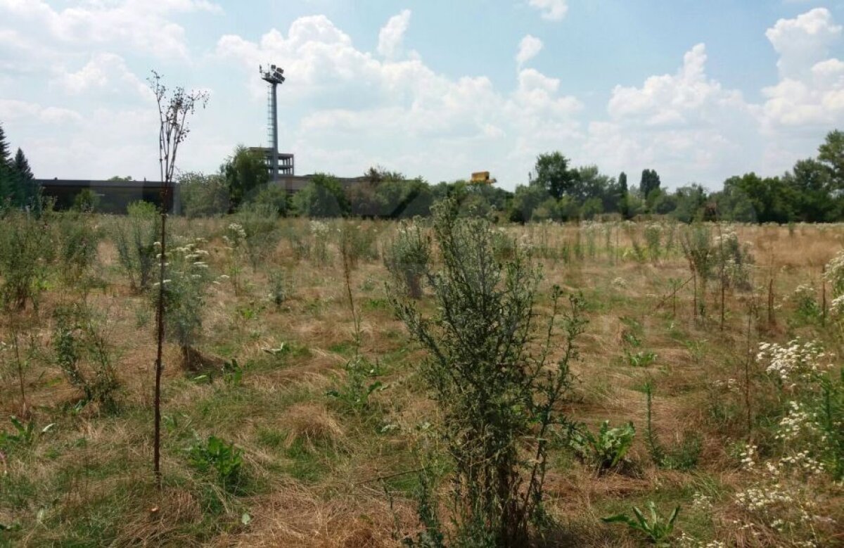 FOTO Imagini din Jurassic: în 2000 era cea mai tare bază a unei echipe de la noi, acum arată înfiorător!