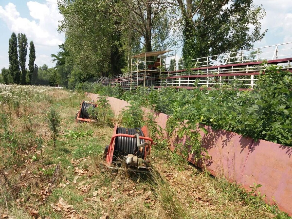 FOTO Imagini din Jurassic: în 2000 era cea mai tare bază a unei echipe de la noi, acum arată înfiorător!