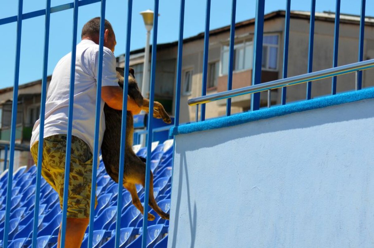 CSU CRAIOVA - AC MILAN » Galerie FOTO+VIDEO de la antrenamentul italienilor + Incident amuzant la ședința de pregătire a milanezilor