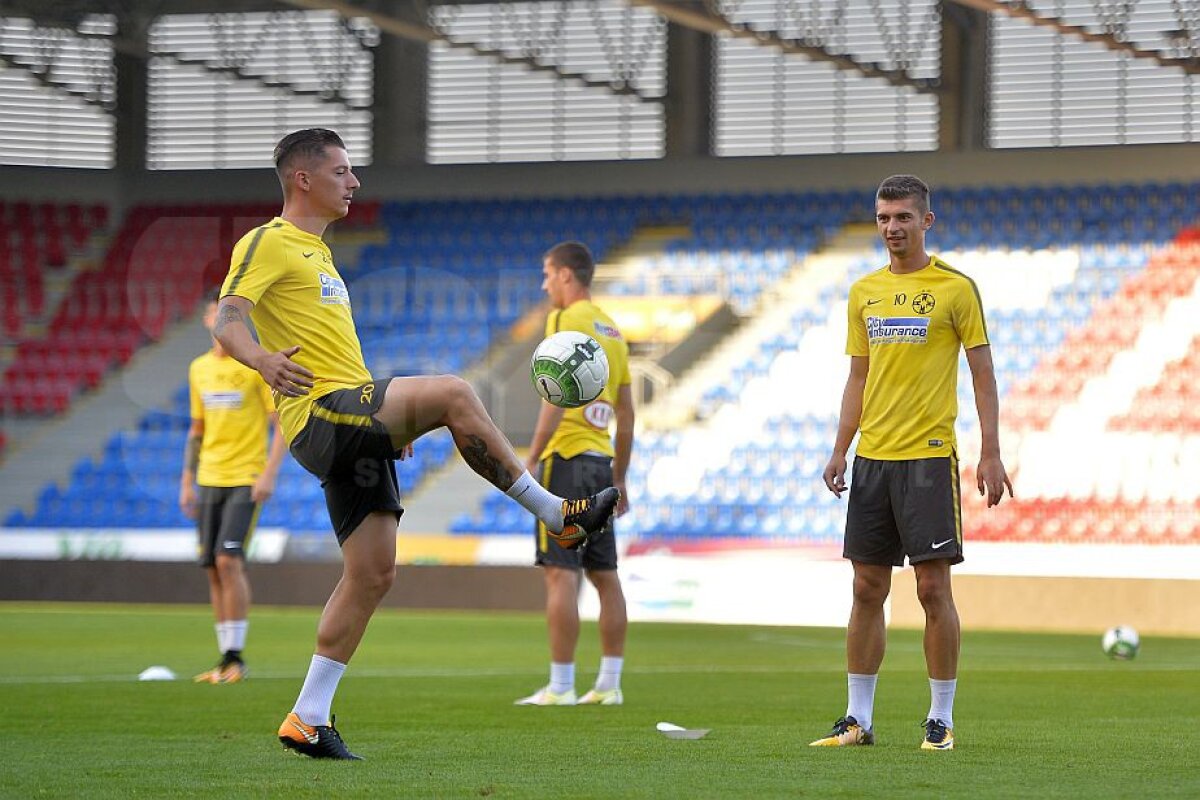 PLZEN - FCSB // VIDEO+FOTO Nicolae Dică, înaintea celui mai important meci din cariera de antrenor: "Nu se termină lumea dacă ratăm calificarea" » Ce spune despre Alibec