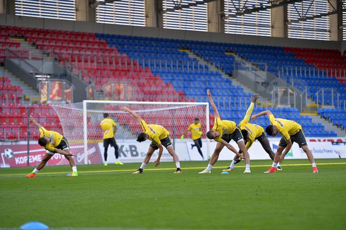 PLZEN - FCSB // VIDEO+FOTO Nicolae Dică, înaintea celui mai important meci din cariera de antrenor: "Nu se termină lumea dacă ratăm calificarea" » Ce spune despre Alibec