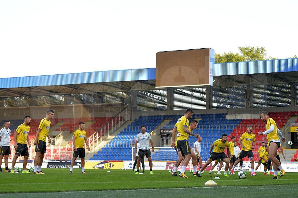 PLZEN - FCSB // VIDEO+FOTO Nicolae Dică, înaintea celui mai important meci din cariera de antrenor: "Nu se termină lumea dacă ratăm calificarea" » Ce spune despre Alibec