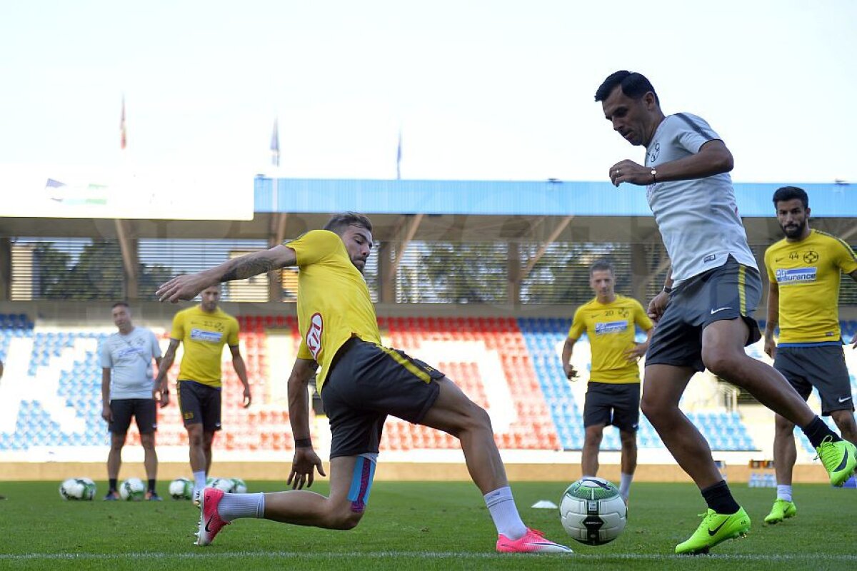 PLZEN - FCSB // VIDEO+FOTO Nicolae Dică, înaintea celui mai important meci din cariera de antrenor: "Nu se termină lumea dacă ratăm calificarea" » Ce spune despre Alibec