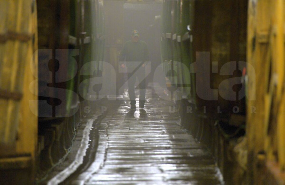 FOTO + VIDEO Corespondență din Plzen » Fssst! În cea mai sufocantă zi a verii, reportaj răcoritor din Cehia » Superimagini, bere direct din butoi și o poveste de 100 de minute