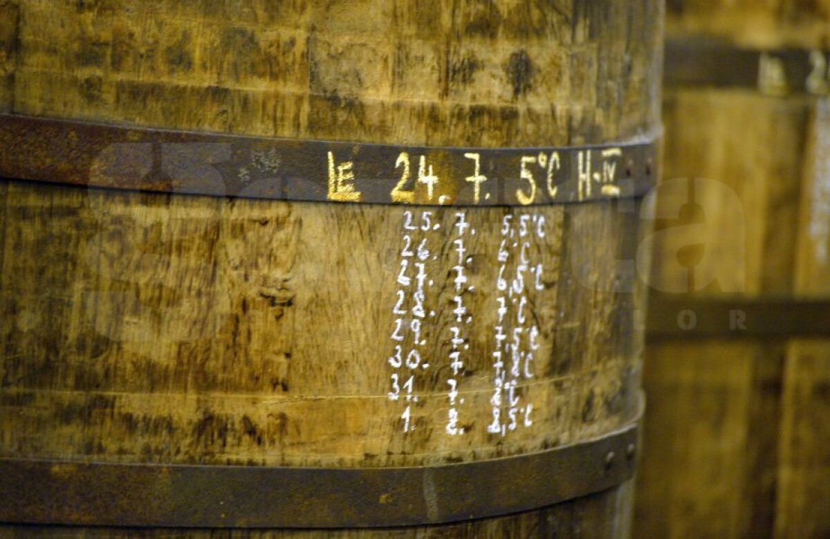 FOTO + VIDEO Corespondență din Plzen » Fssst! În cea mai sufocantă zi a verii, reportaj răcoritor din Cehia » Superimagini, bere direct din butoi și o poveste de 100 de minute