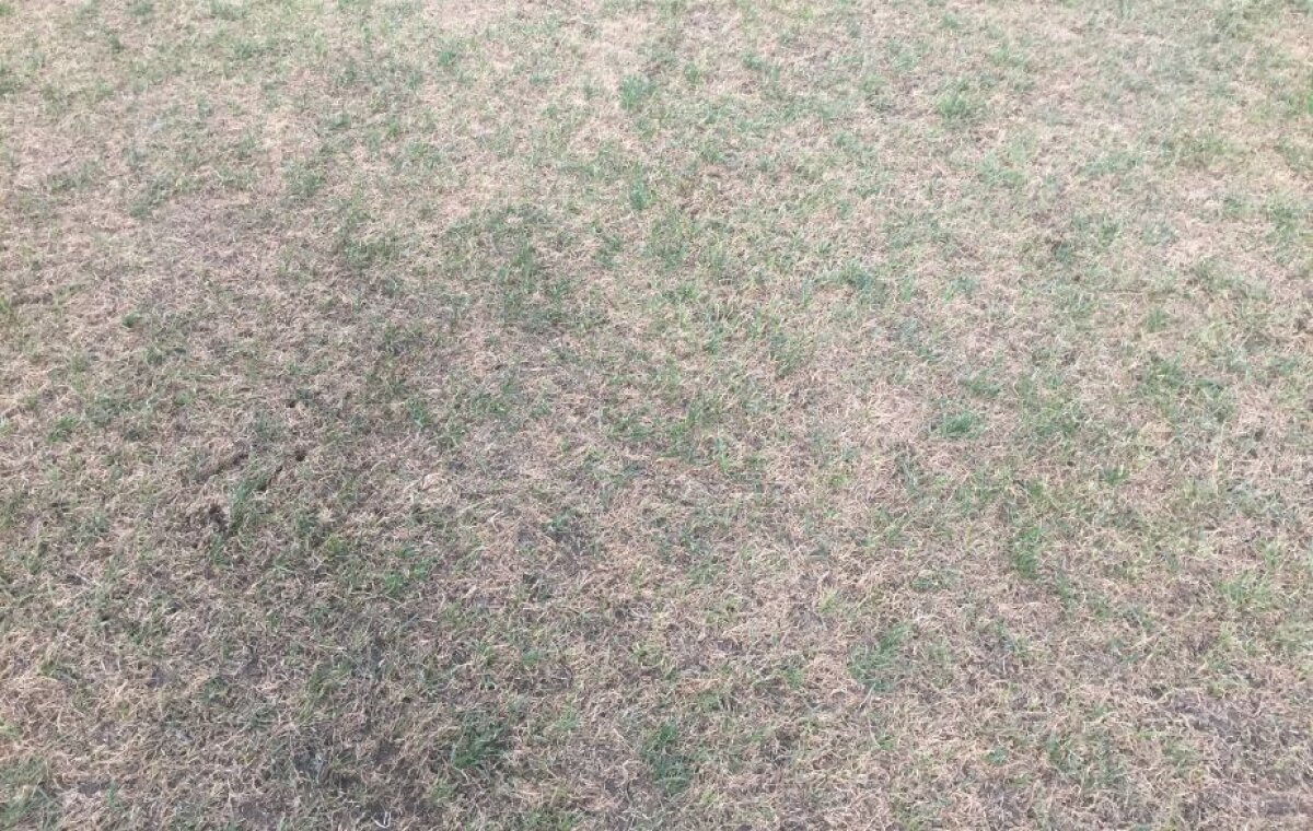 VIDEO+FOTO Cum să distrugi un gazon în două săptămâni » Suprafața de joc de pe Arena Națională arată jalnic cu 11 zile înaintea meciului cu Sporting