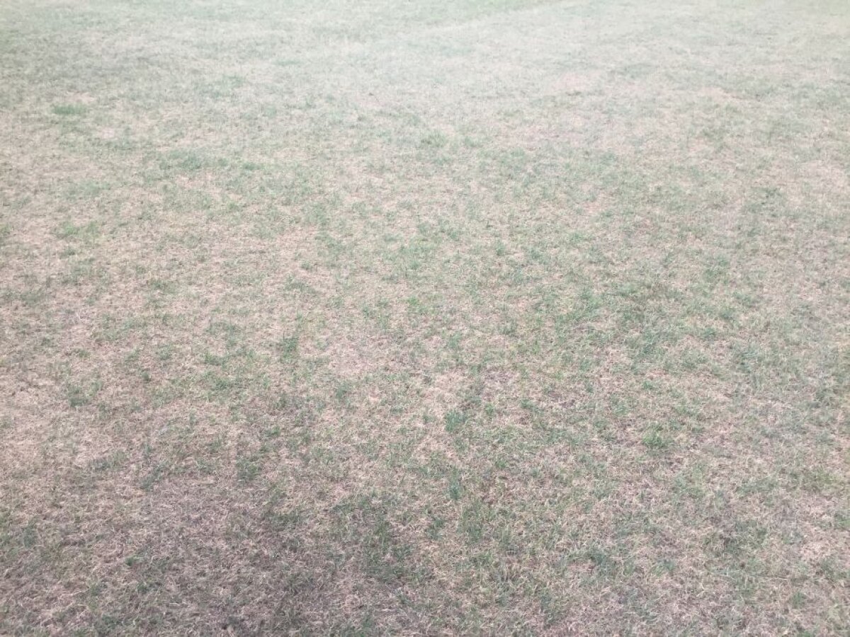 VIDEO+FOTO Cum să distrugi un gazon în două săptămâni » Suprafața de joc de pe Arena Națională arată jalnic cu 11 zile înaintea meciului cu Sporting