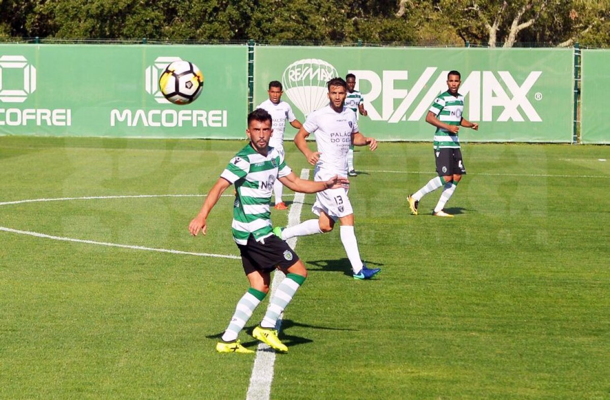 Corespondență din Portugalia //  FOTO Interviul cu românul care joacă de 12 ani la Sporting » Cum vede jocul portughezilor și ce spune de șansele steliștilor