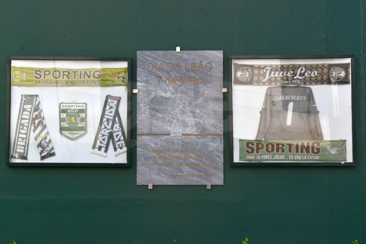 Corespondență din Portugalia // Sporting, dependentă de banii din Champions League: "Îmi imaginez cât înseamnă pentru români" » Mesaj clar al unui oficial: "E Steaua, nu FCSB"