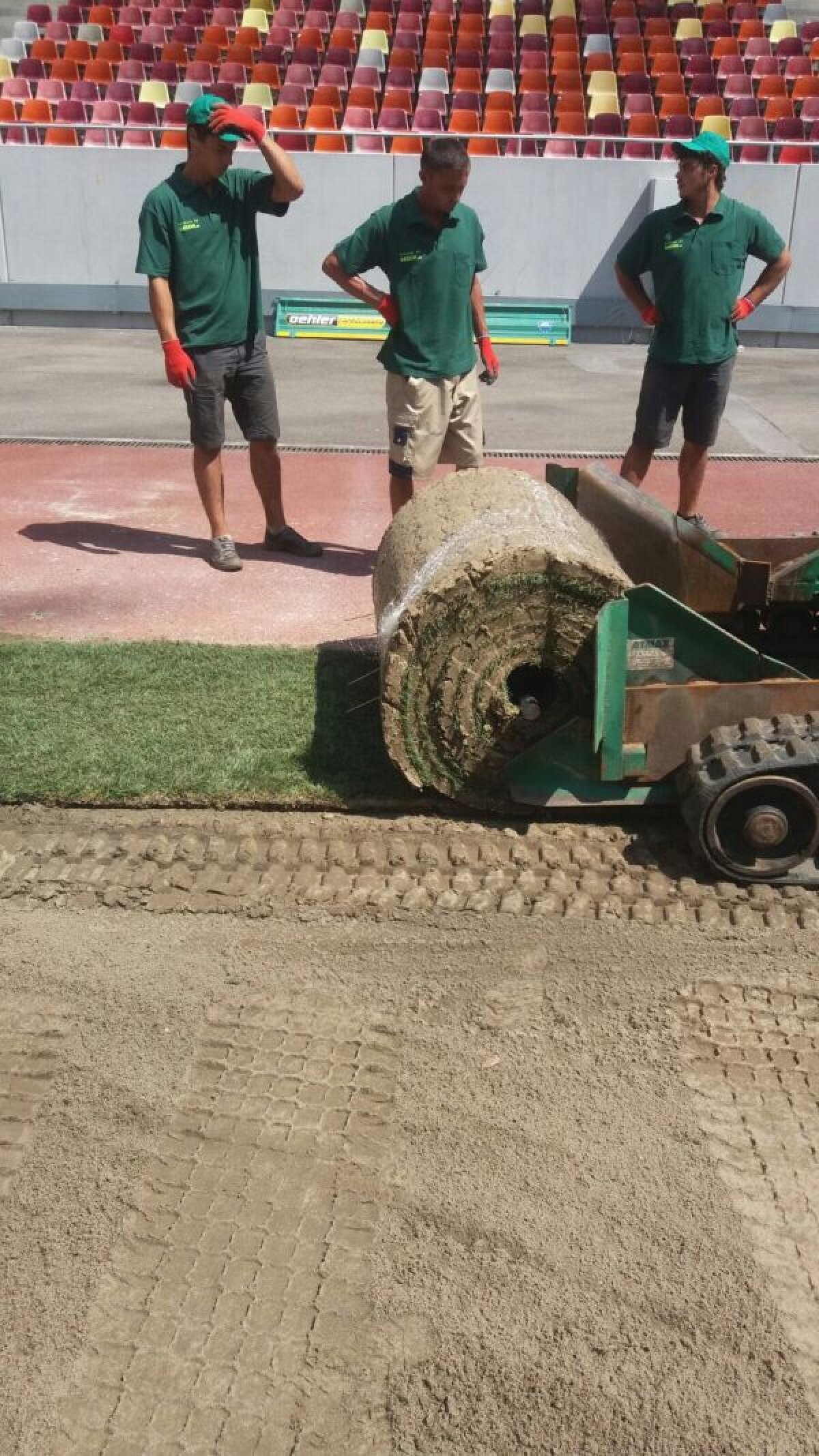 REPORTAJ EXCLUSIV Gazeta a participat la procesul de montare a gazonului de pe Arena Națională » Cum se produce în comuna Săbăreni un gazon de Ligă la 1/2 din prețul de afară!