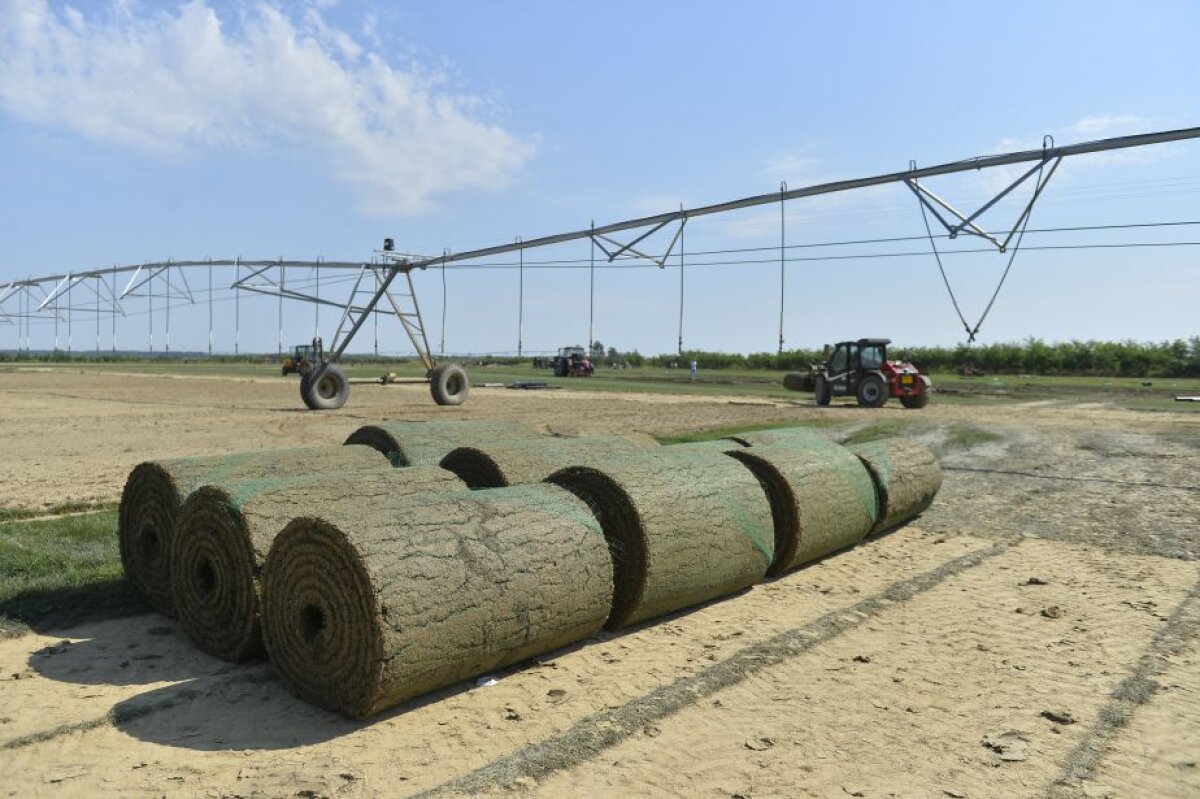 REPORTAJ EXCLUSIV Gazeta a participat la procesul de montare a gazonului de pe Arena Națională » Cum se produce în comuna Săbăreni un gazon de Ligă la 1/2 din prețul de afară!