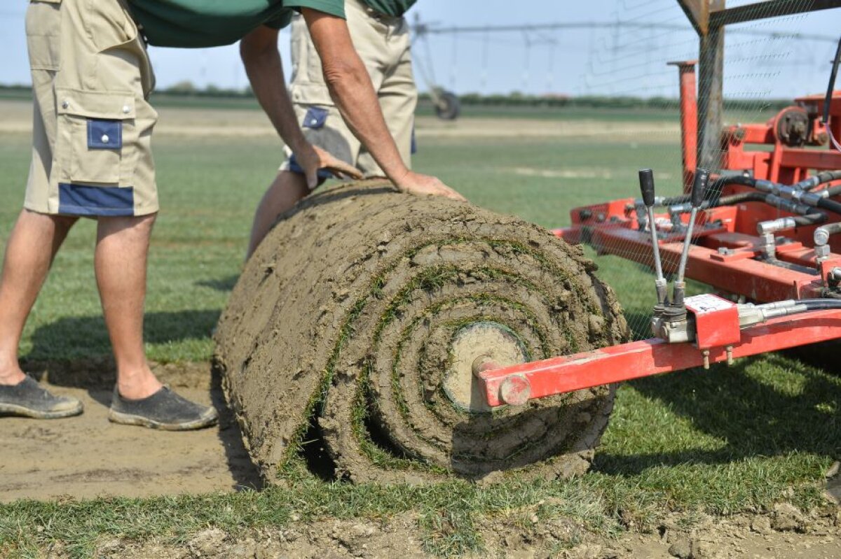 REPORTAJ EXCLUSIV Gazeta a participat la procesul de montare a gazonului de pe Arena Națională » Cum se produce în comuna Săbăreni un gazon de Ligă la 1/2 din prețul de afară!