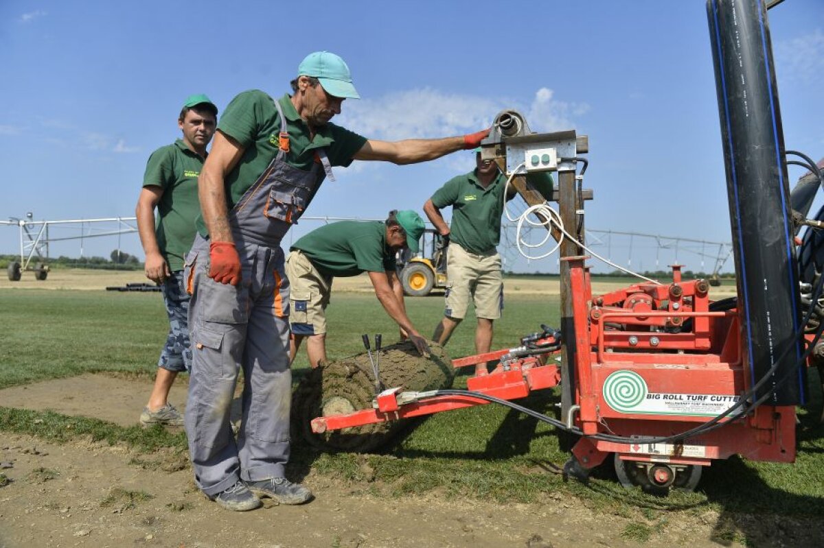 REPORTAJ EXCLUSIV Gazeta a participat la procesul de montare a gazonului de pe Arena Națională » Cum se produce în comuna Săbăreni un gazon de Ligă la 1/2 din prețul de afară!