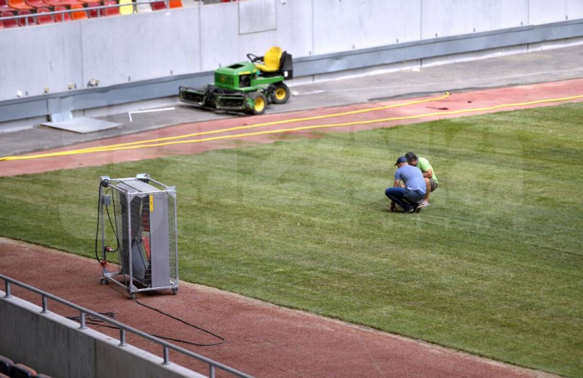 GALERIE FOTO FCSB - Sporting // Rezistă? Imagini cu noul gazon montat pe Arena Națională