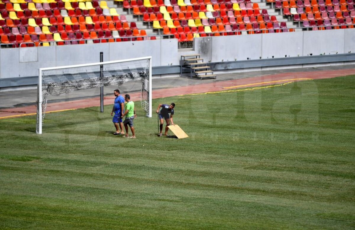 GALERIE FOTO FCSB - Sporting // Rezistă? Imagini cu noul gazon montat pe Arena Națională