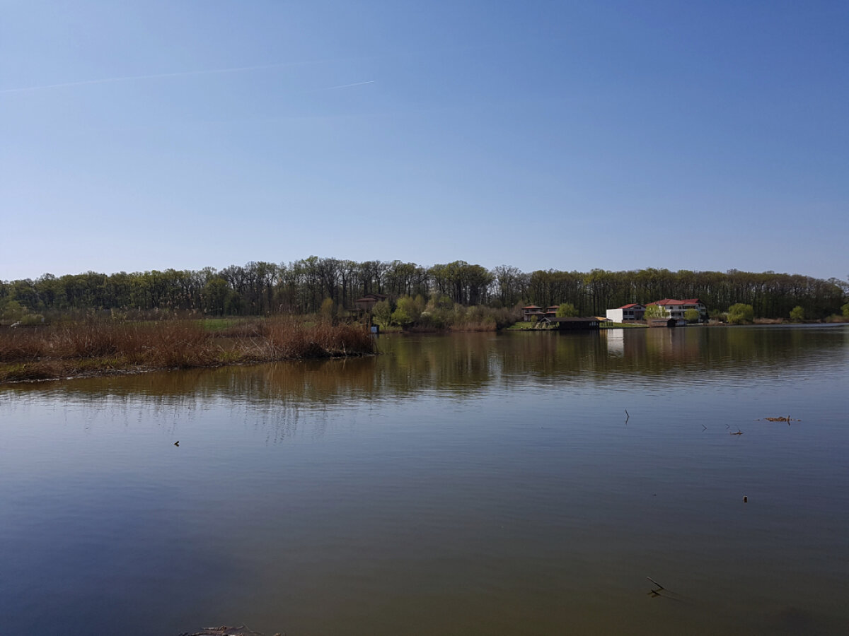 H1 - Blog pariori.ro / Hyde Park11 pneumonoultramicroscopicsilicovolcaniconioza 