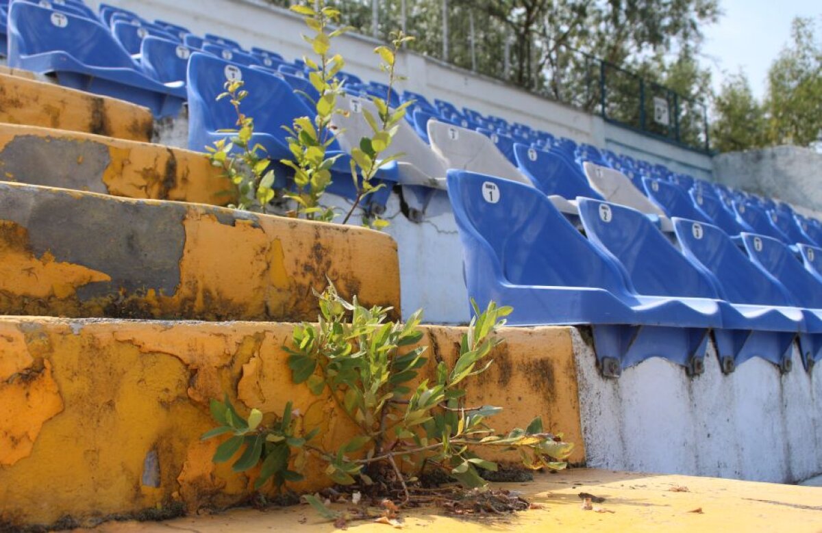 FOTO » Arena "vampirilor albaștri", de pe care granzii din Capitală plecau cu coada între picioare, a devenit un stadion-fantomă