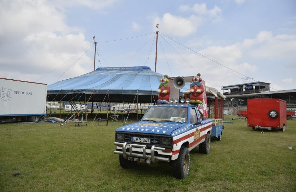 FOTO » Arena "vampirilor albaștri", de pe care granzii din Capitală plecau cu coada între picioare, a devenit un stadion-fantomă