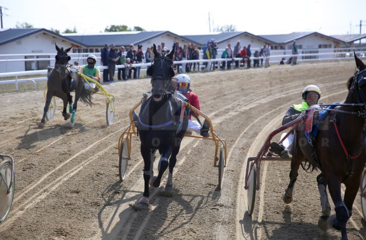 GALERIE FOTO Nobel pentru Star » Hipodromul de la Ploiești a găzduit duminică derby-ul de trap al României