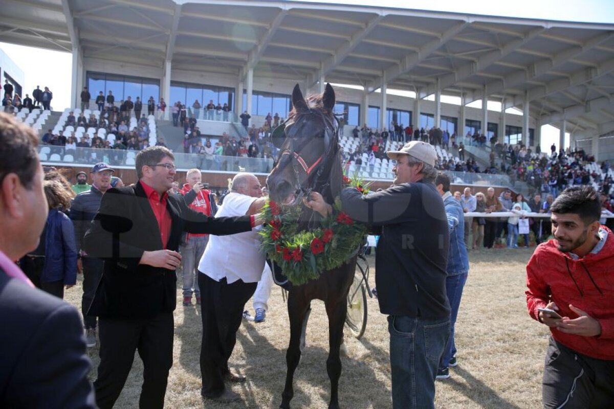 GALERIE FOTO Nobel pentru Star » Hipodromul de la Ploiești a găzduit duminică derby-ul de trap al României