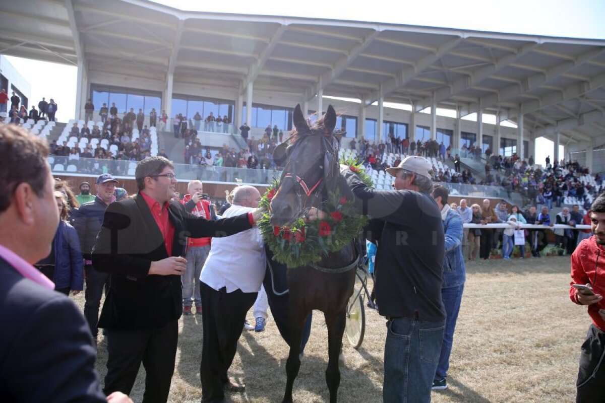 GALERIE FOTO Nobel pentru Star » Hipodromul de la Ploiești a găzduit duminică derby-ul de trap al României