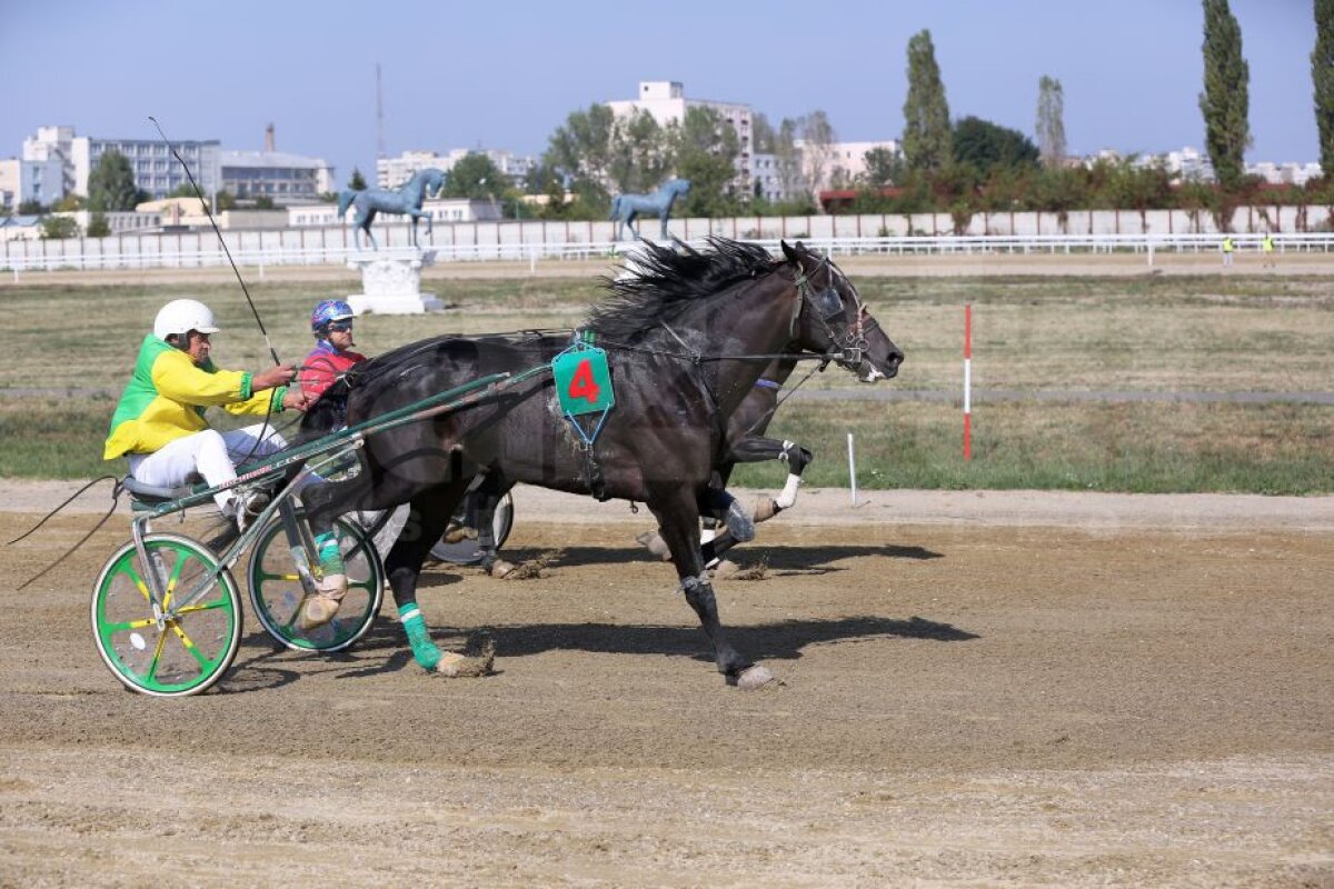 GALERIE FOTO Nobel pentru Star » Hipodromul de la Ploiești a găzduit duminică derby-ul de trap al României