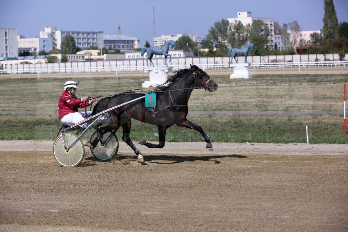 GALERIE FOTO Nobel pentru Star » Hipodromul de la Ploiești a găzduit duminică derby-ul de trap al României