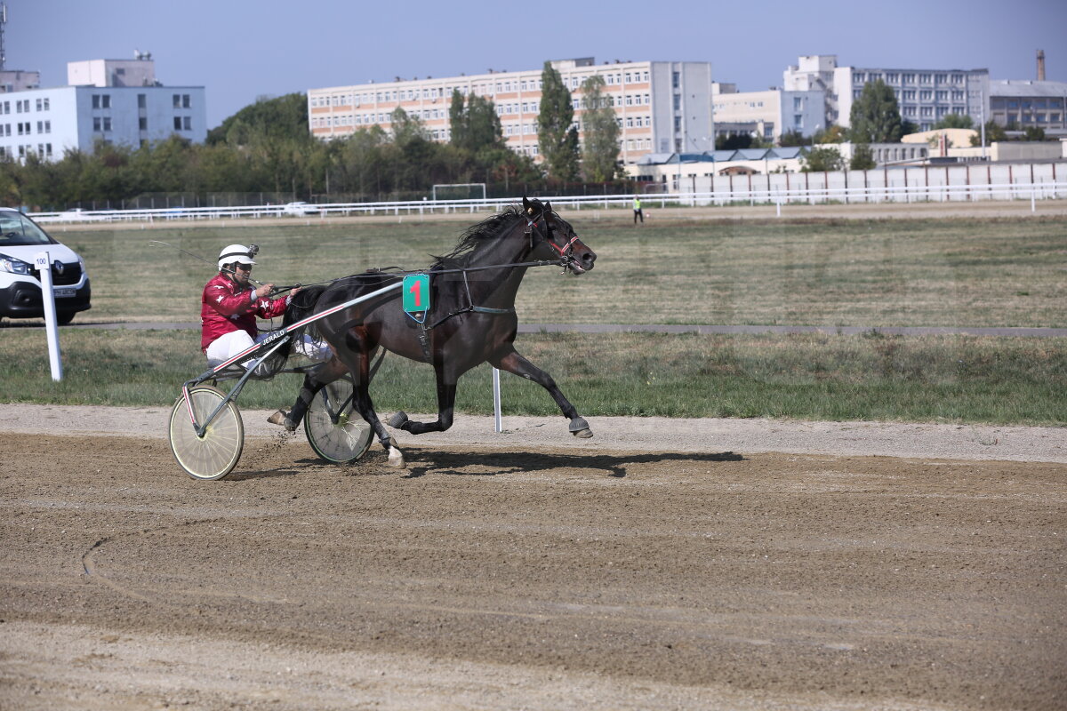 GALERIE FOTO Nobel pentru Star » Hipodromul de la Ploiești a găzduit duminică derby-ul de trap al României