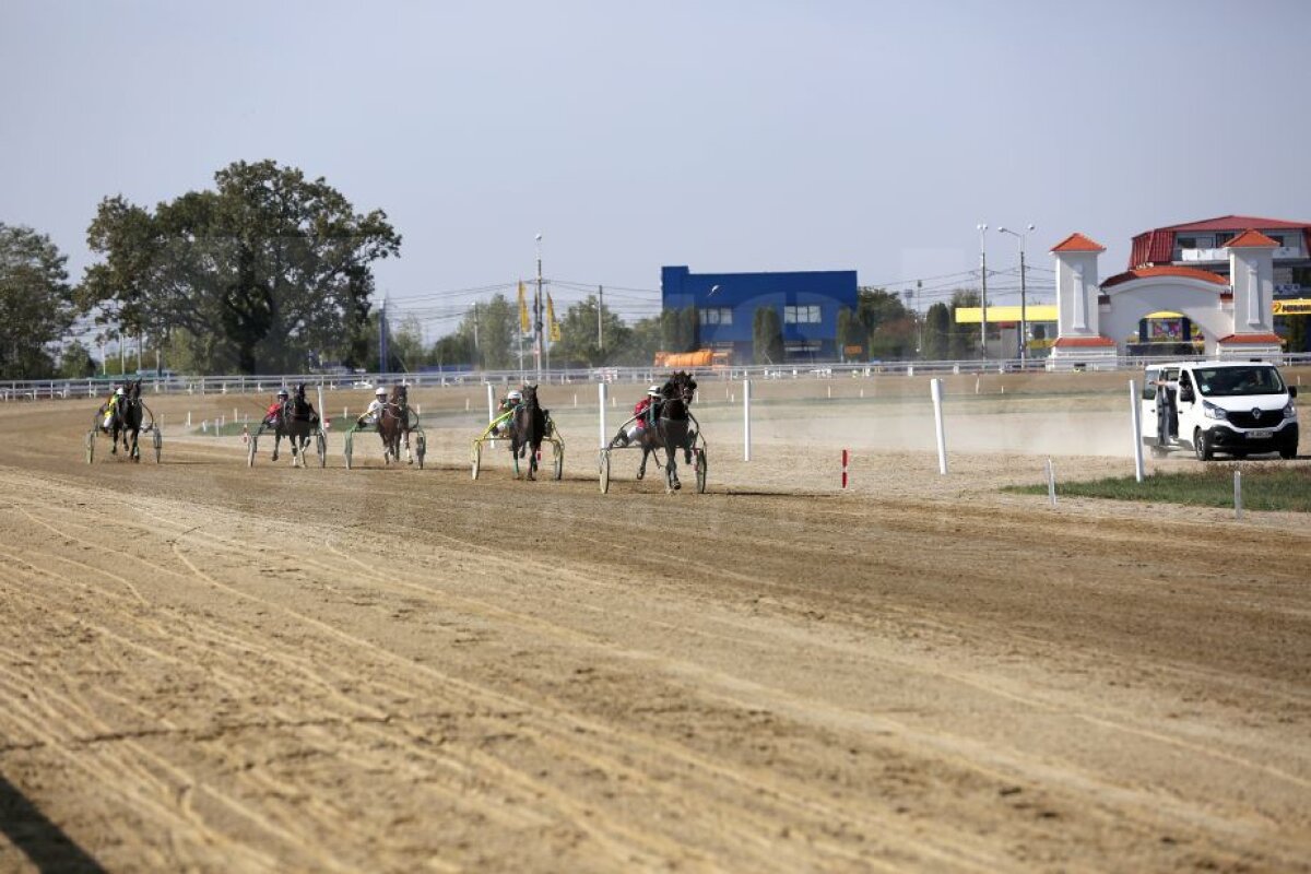 GALERIE FOTO Nobel pentru Star » Hipodromul de la Ploiești a găzduit duminică derby-ul de trap al României