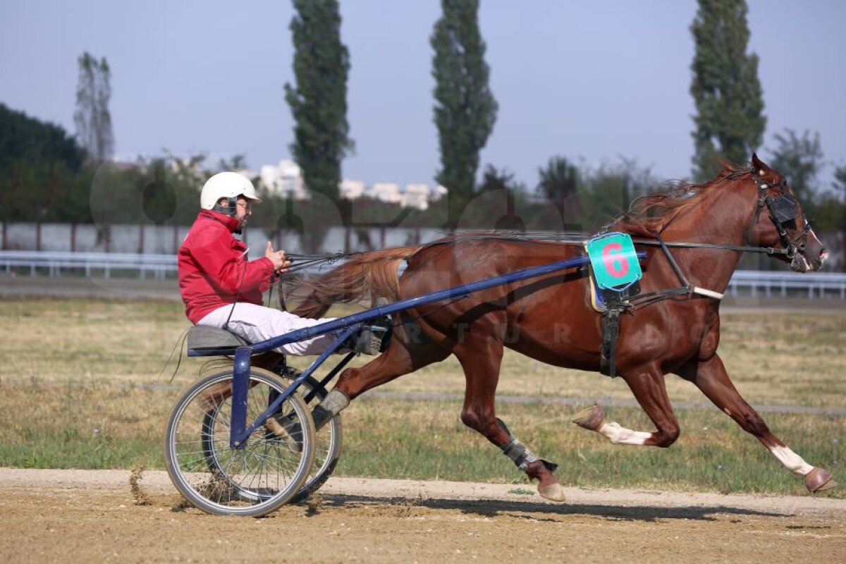 GALERIE FOTO Nobel pentru Star » Hipodromul de la Ploiești a găzduit duminică derby-ul de trap al României