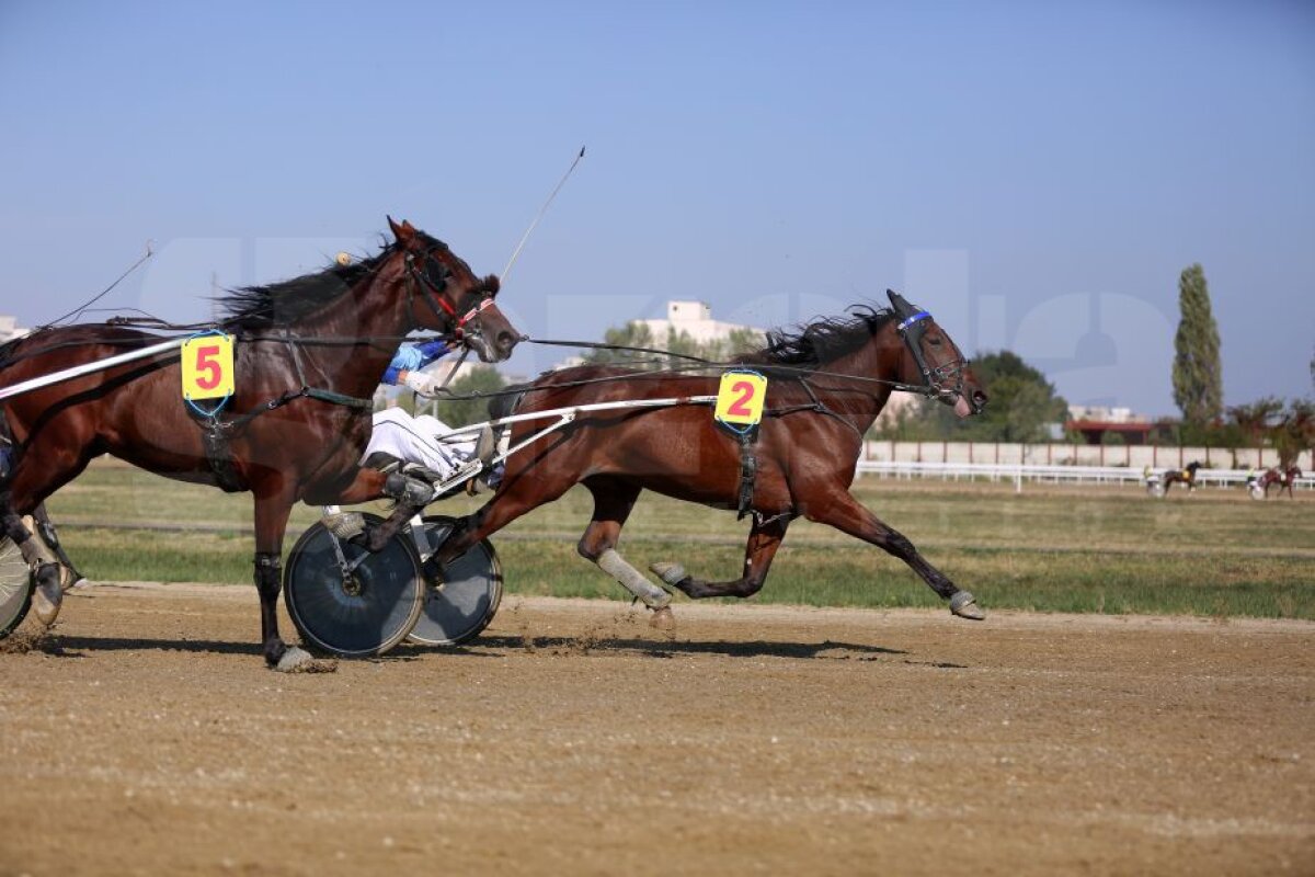 GALERIE FOTO Nobel pentru Star » Hipodromul de la Ploiești a găzduit duminică derby-ul de trap al României