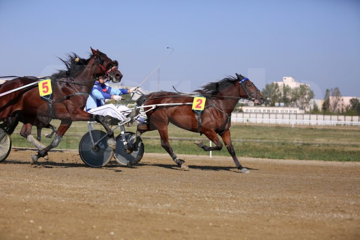 GALERIE FOTO Nobel pentru Star » Hipodromul de la Ploiești a găzduit duminică derby-ul de trap al României