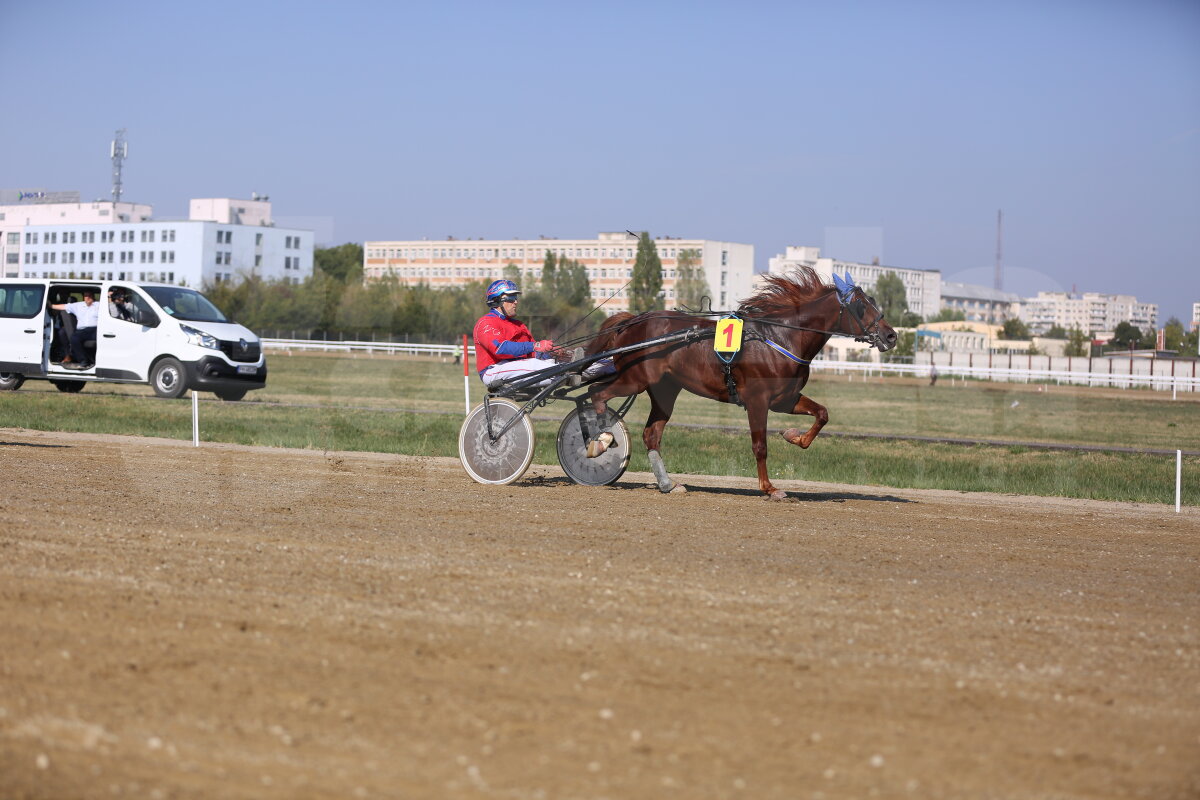 GALERIE FOTO Nobel pentru Star » Hipodromul de la Ploiești a găzduit duminică derby-ul de trap al României