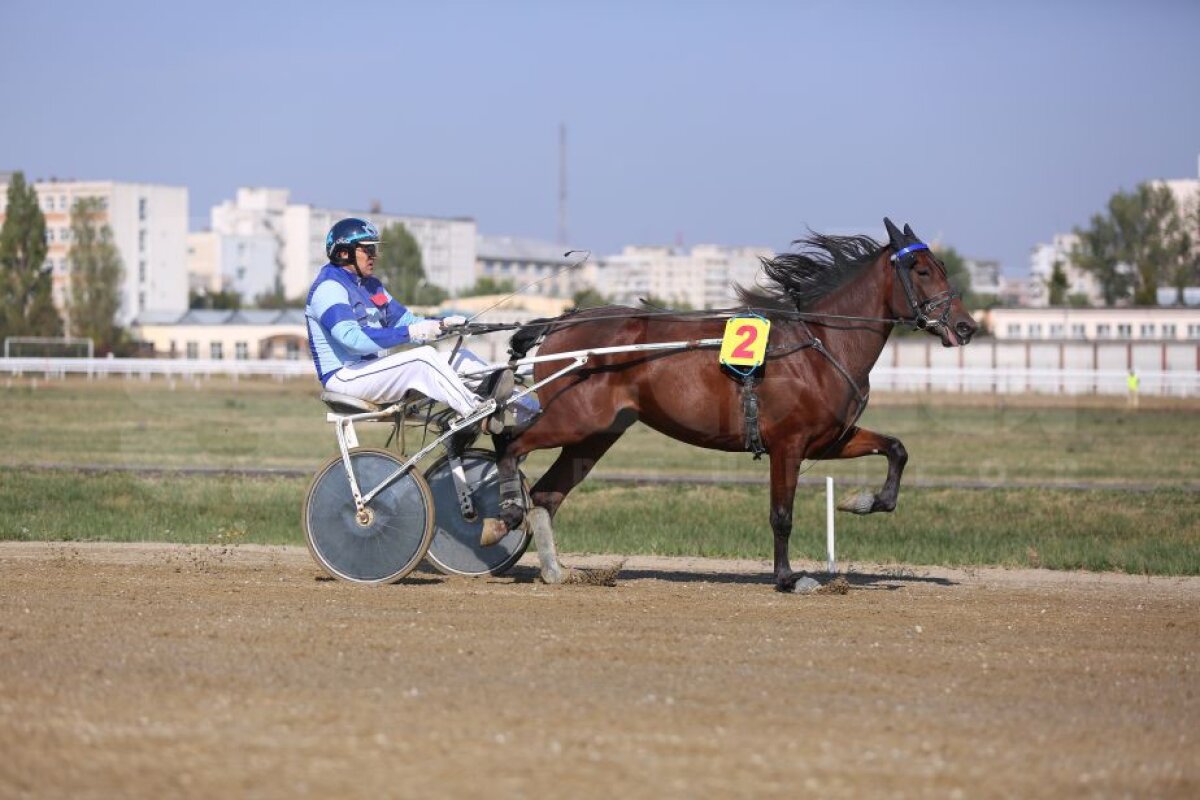 GALERIE FOTO Nobel pentru Star » Hipodromul de la Ploiești a găzduit duminică derby-ul de trap al României