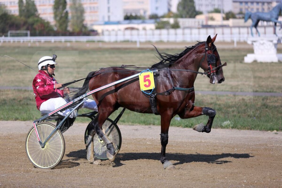 GALERIE FOTO Nobel pentru Star » Hipodromul de la Ploiești a găzduit duminică derby-ul de trap al României
