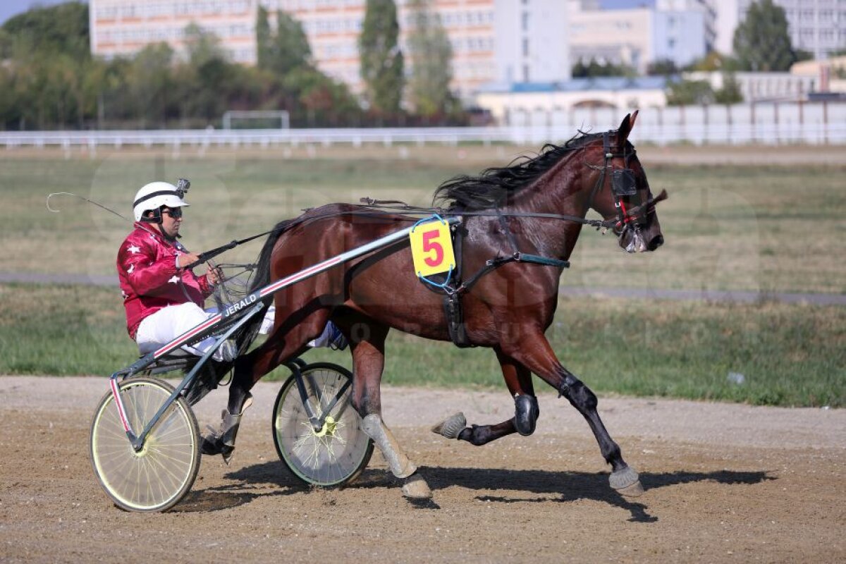 GALERIE FOTO Nobel pentru Star » Hipodromul de la Ploiești a găzduit duminică derby-ul de trap al României