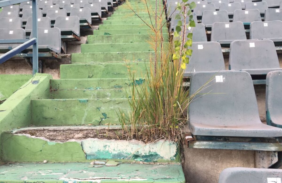 EXCLUSIV / FOTO & VIDEO Imagini deplorabile! Banca a deschis arena BNR pentru presă » Vrea să o cedeze sportului și invită guvernul să ofere o soluție legală!