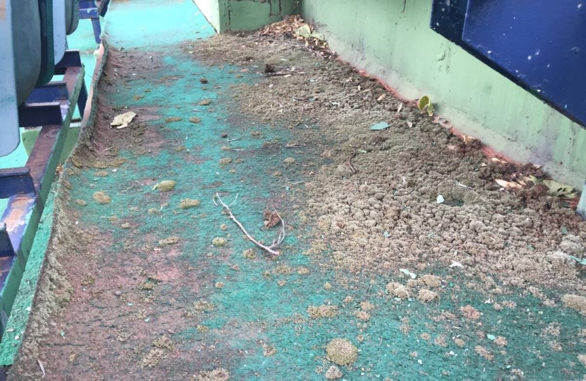 EXCLUSIV / FOTO & VIDEO Imagini deplorabile! Banca a deschis arena BNR pentru presă » Vrea să o cedeze sportului și invită guvernul să ofere o soluție legală!