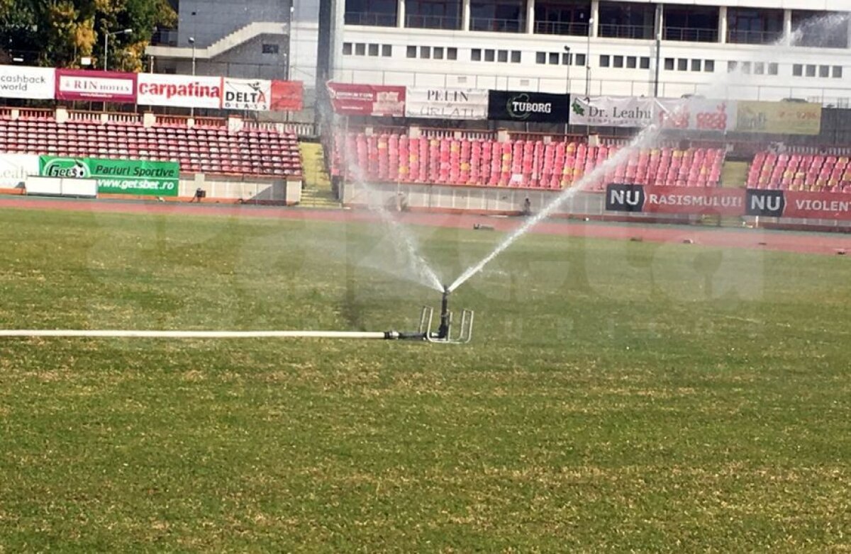 EXCLUSIV FOTO Gazonul lui Dinamo arată ca la un stadion comunal! Cum explică situația oficialii clubului