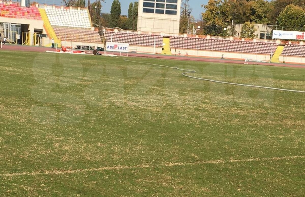 EXCLUSIV FOTO Gazonul lui Dinamo arată ca la un stadion comunal! Cum explică situația oficialii clubului