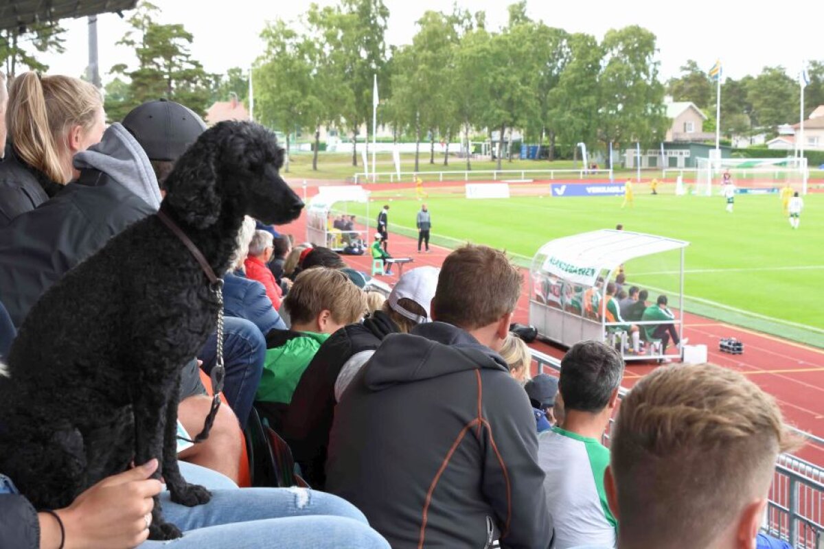 EXCLUSIV Aventura vieții pentru un bărbat de 40 de ani de la Ministerul Justiției: a început să se ducă la meciuri în toate cele 55 de țări membre UEFA » "În Belarus a fost nebunie!"