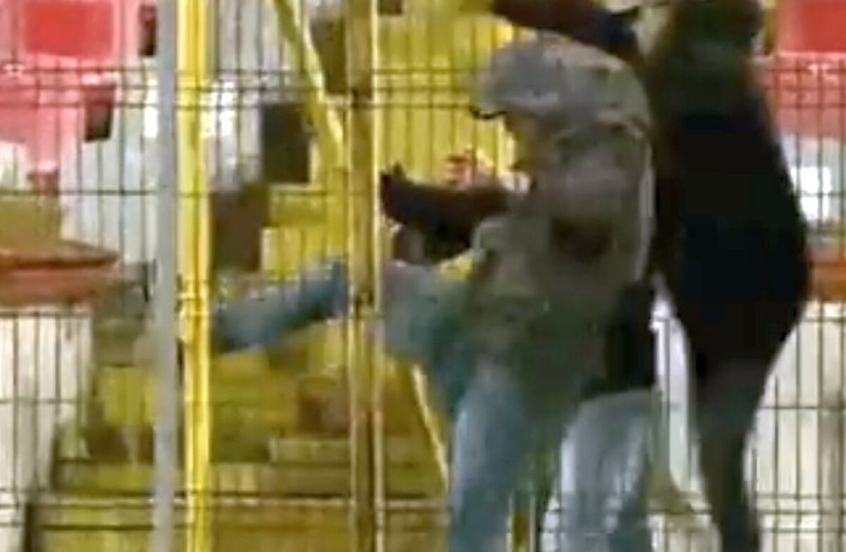 VIDEO + FOTO Premiul "proștii stadioanelor" » Imagini incredibile: cum au dat huliganii lui Dinamo cu picioarele într-o ușă care se deschidea invers :D