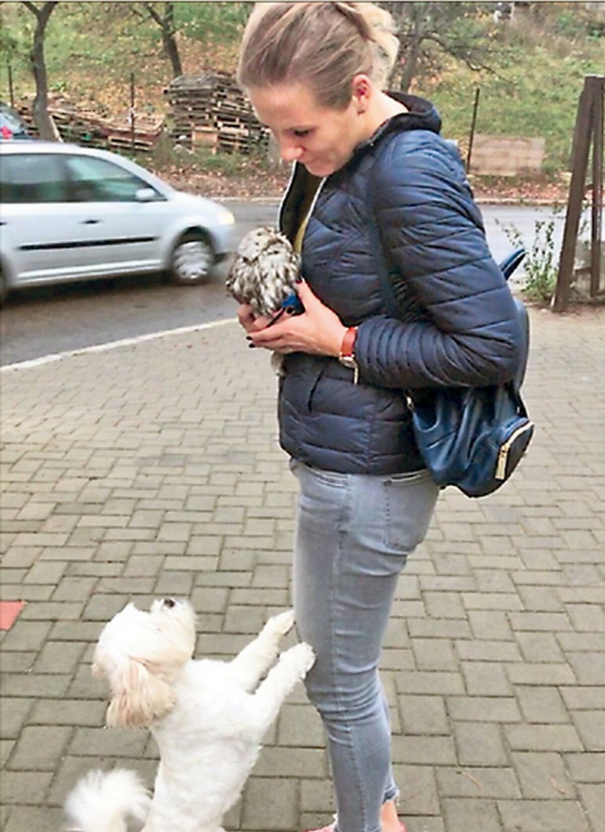 Bufnița la care visa » Adelina Boguș, campioana mondială la canotaj, a salvat o bufniță: "Mereu am vrut una! Îmi aduce noroc"