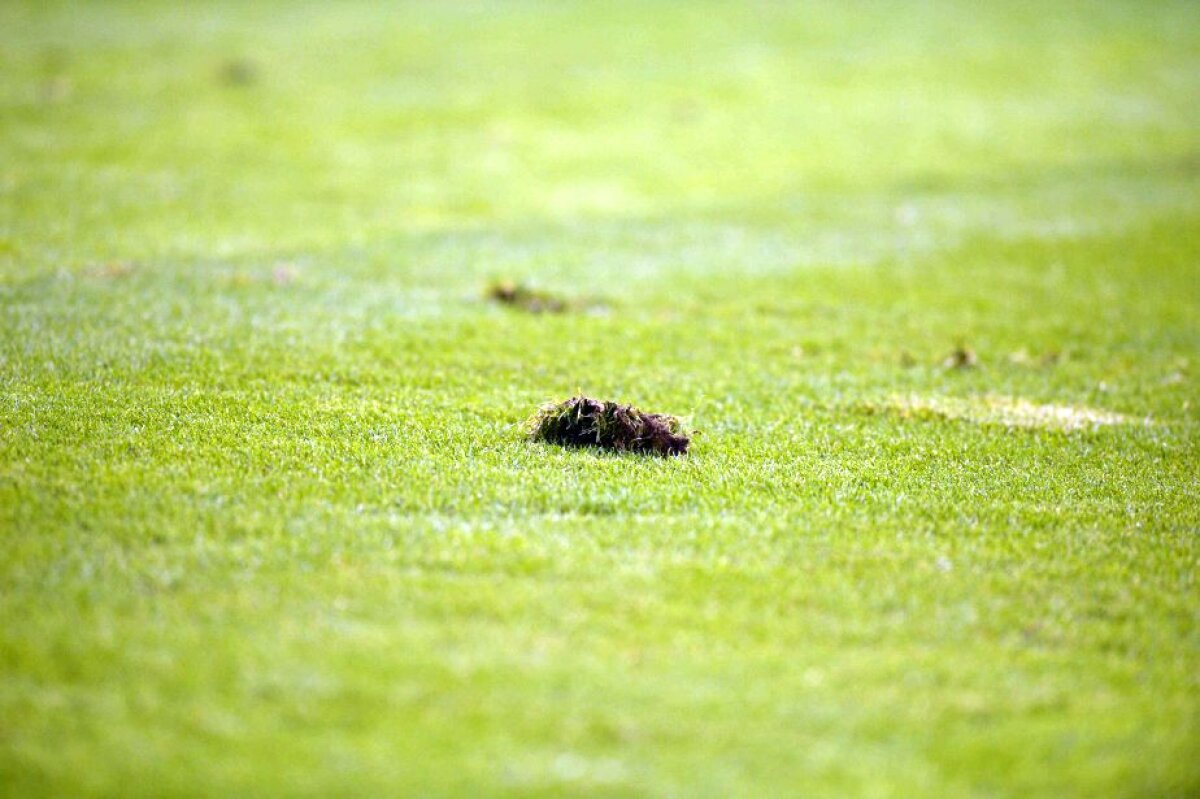 FOTO + VIDEO "Lei" doar în tribune » CSU Craiova a fost umilită la inaugurarea noului "Ion Oblemenco"