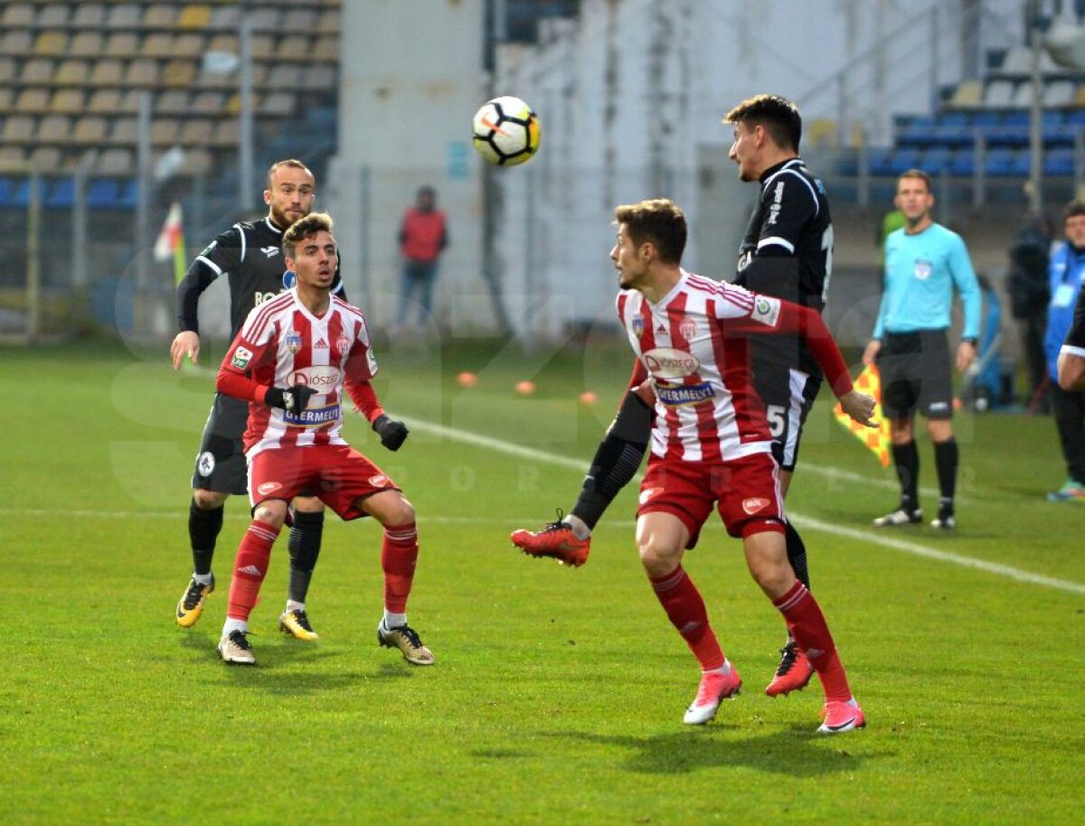 VIDEO + FOTO Egal spectaculos la Brașov, între Sepsi și Gaz Metan, 0-0! Mari ocazii ratate de formația gazdă