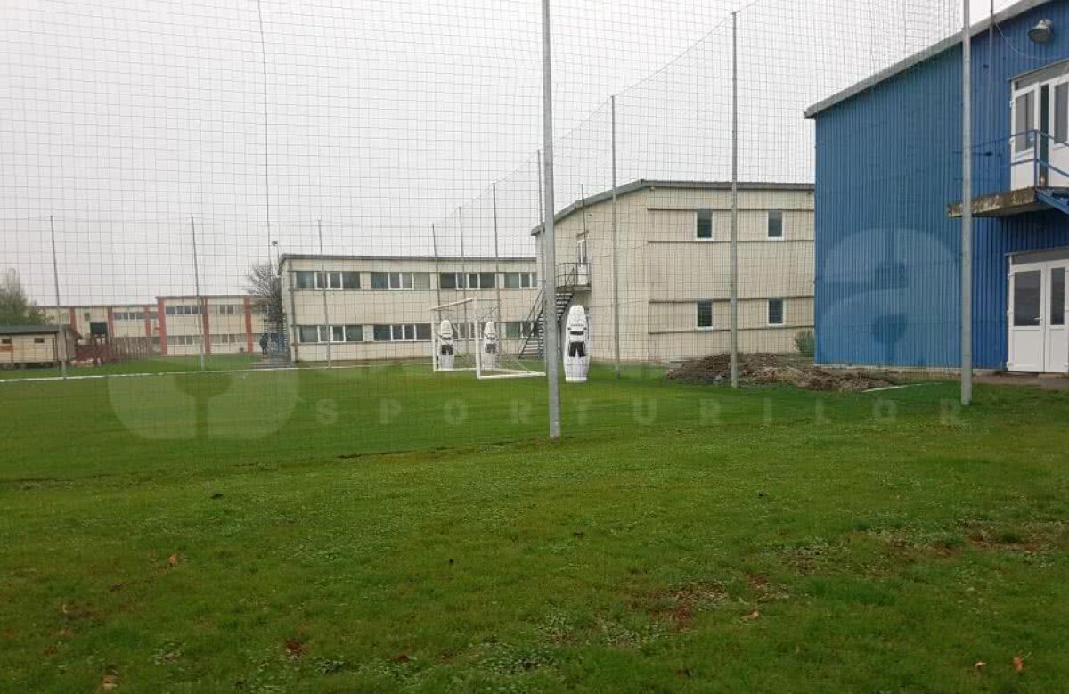 GALERIE FOTO EXCLUSIV Noi imagini din baza FCSB de la Berceni! Gigi Becali s-a ținut de cuvânt cu hrana bio :) + ce s-a mai construit + planul pe care patronul l-ar pune la cale împreună cu Olăroiu 