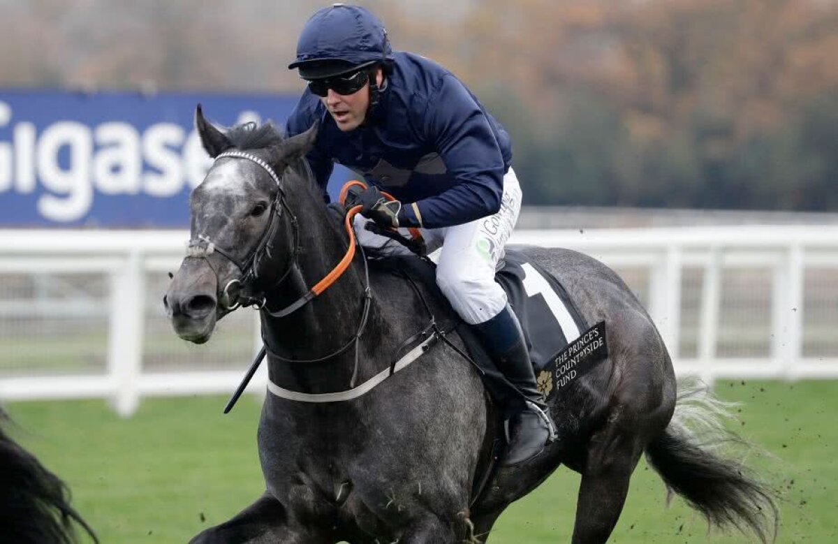 GALERIE FOTO » Un fost Balon de Aur a trecut la călărie! "Am avut impresia că zbor! Totuși, am patru copii, nu vrea să mă rănesc!"