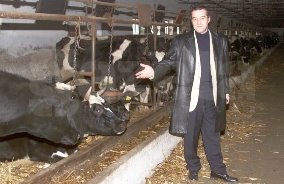 FOTO 3 imagini antologice din arhiva GSP! Gigi Becali și începuturile sale + foto de senzație cu un fost campion al României 